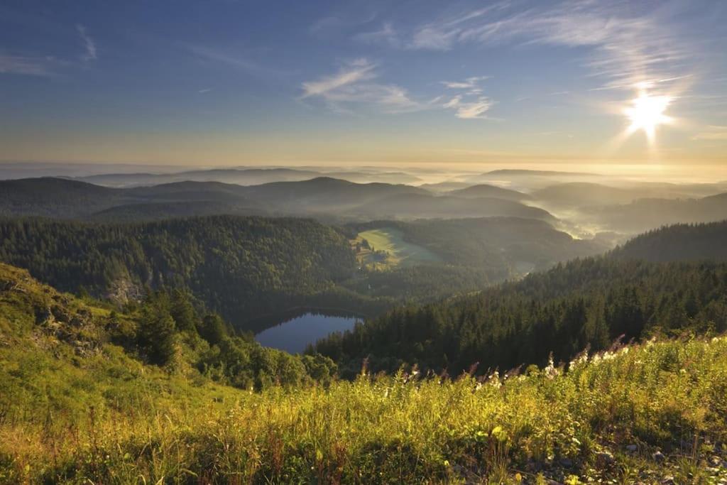 Ferienwohnung Lotti + Hochschwarzwald Card Titisee-Neustadt Exterior foto