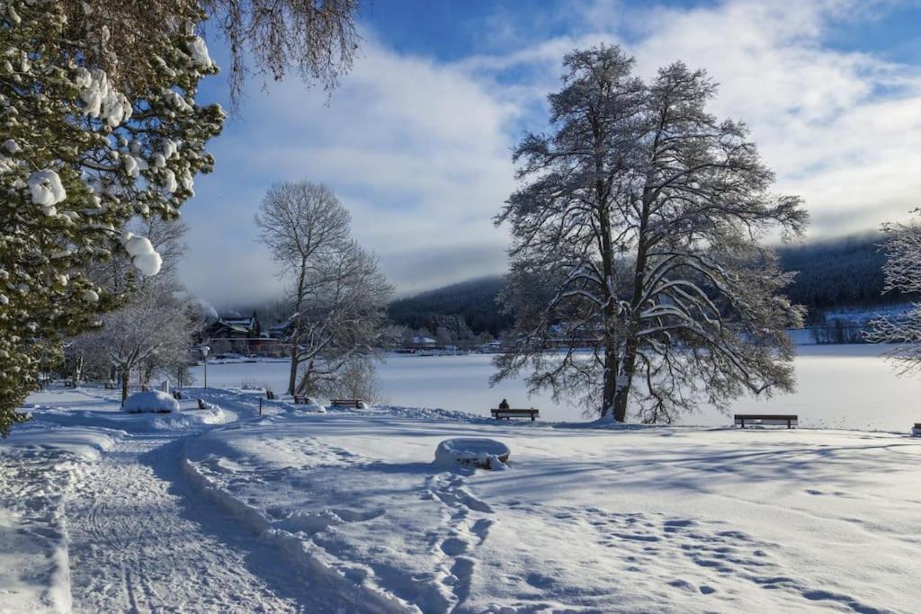 Ferienwohnung Lotti + Hochschwarzwald Card Titisee-Neustadt Exterior foto